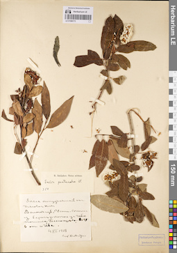 LE 01080173