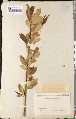 LE 01080182