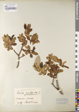 LE 01080187