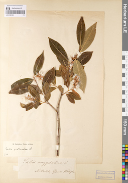 LE 01080188