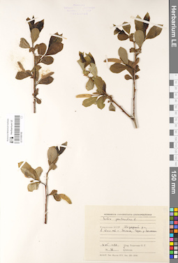LE 01080192