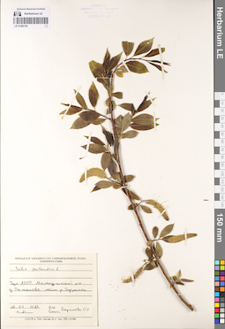 LE 01080194