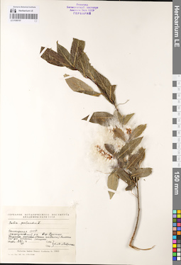 LE 01080197