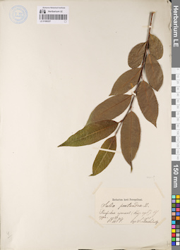LE 01080257