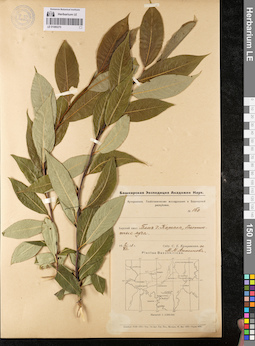LE 01080270