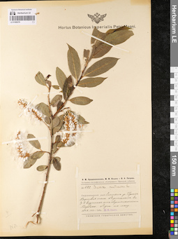 LE 01080276