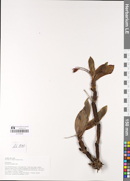 LE 01048762