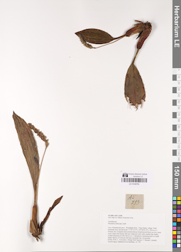 LE 01048764