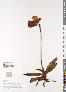 LE 01054259