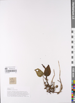 LE 01054096