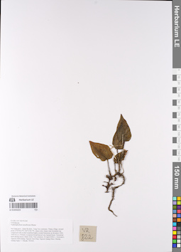 LE 01054223