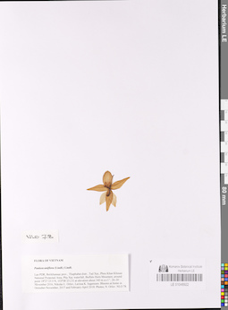 LE 01048922