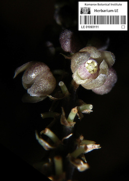 LE 01093111