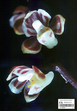 LE 01088036