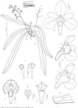 LE 01087976