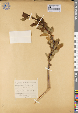 LE 01080244