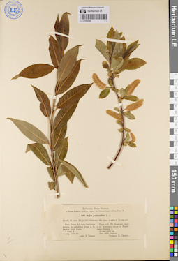LE 01080288