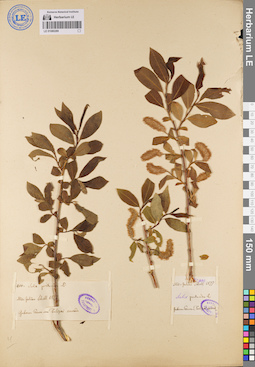 LE 01080289