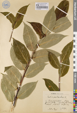LE 01080405