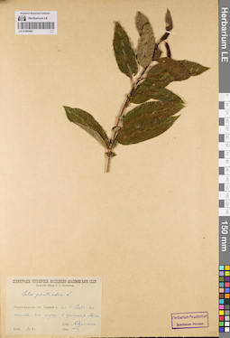 LE 01080492