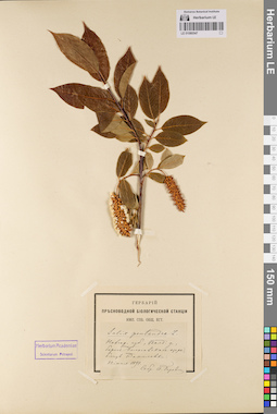 LE 01080547