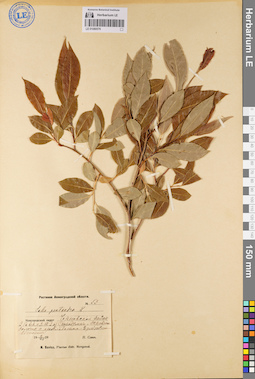 LE 01080576