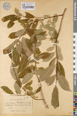 LE 01080577