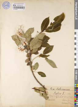 LE 01080587