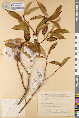 LE 01080692