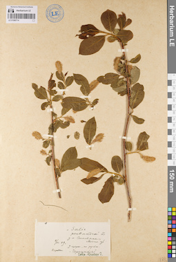 LE 01080714