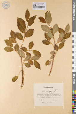 LE 01080727