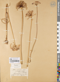 LE 01080750