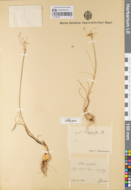 LE 01080767
