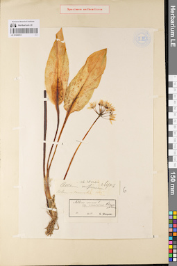 LE 01080812