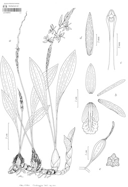 LE 01087872