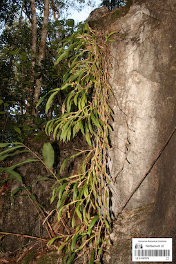 LE 01087879