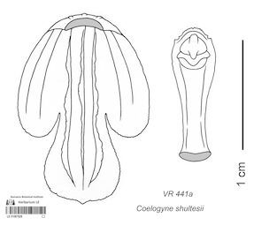LE 01087829