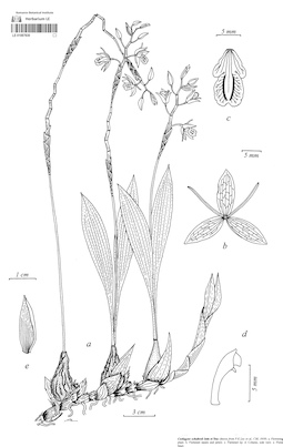 LE 01087830