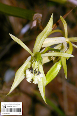 LE 01088201