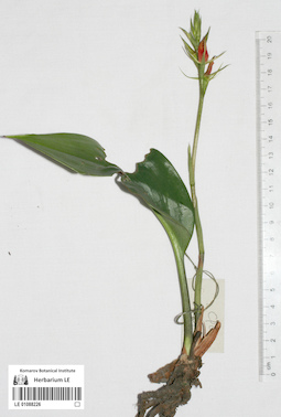 LE 01088226