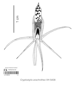 LE 01088234