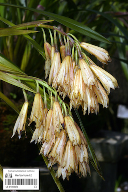 LE 01088270