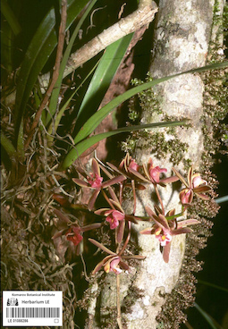 LE 01088286