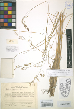LE 01071961