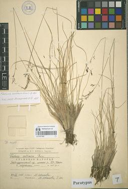 LE 01071963