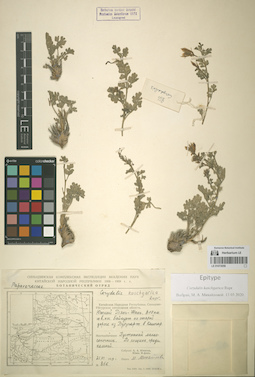 LE 01072058