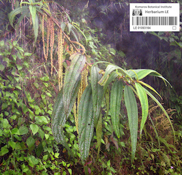 LE 01093164