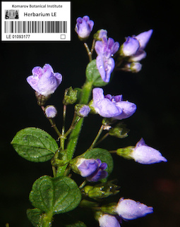 LE 01093177