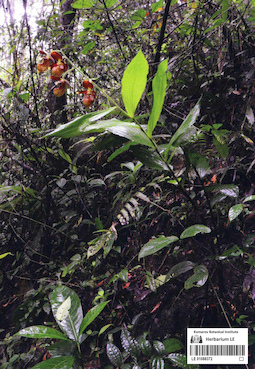 LE 01088372