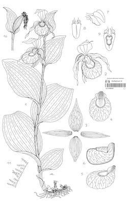 LE 01088383